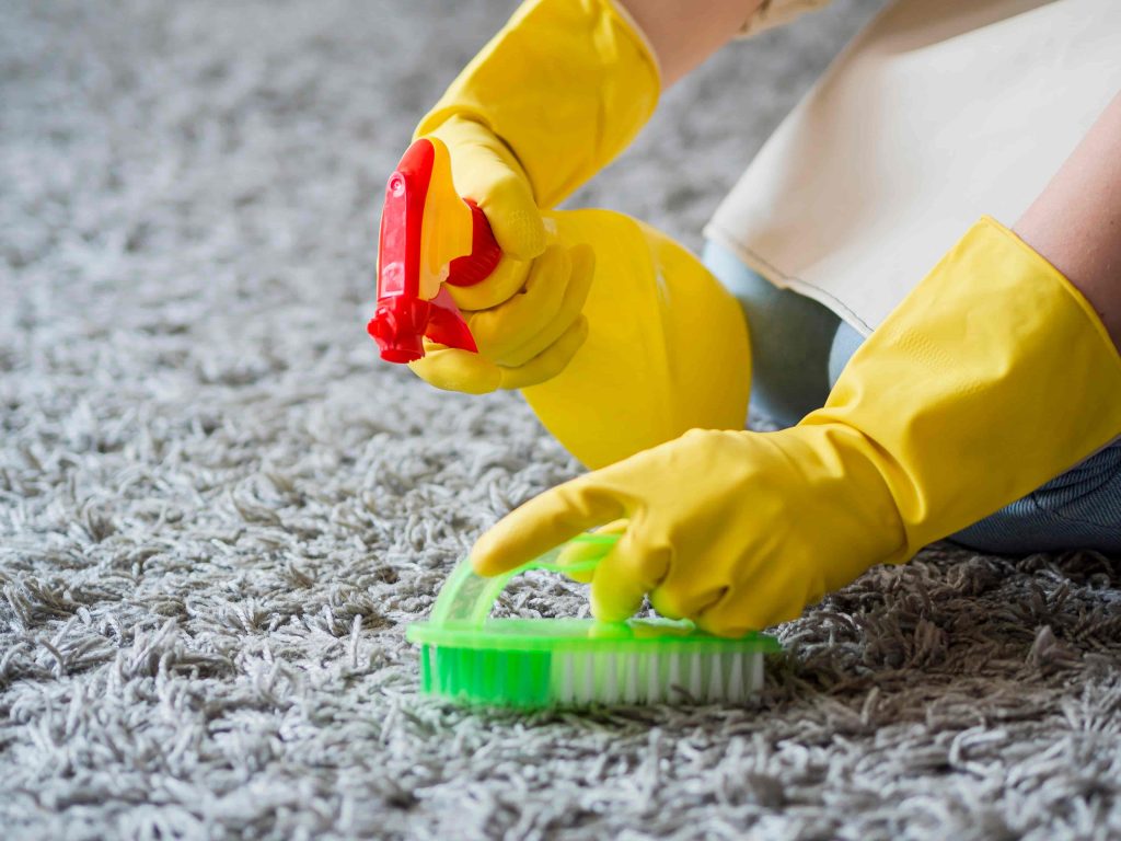 כיצד למנוע ולטפל בעקיצות חרקים על שטיחים -